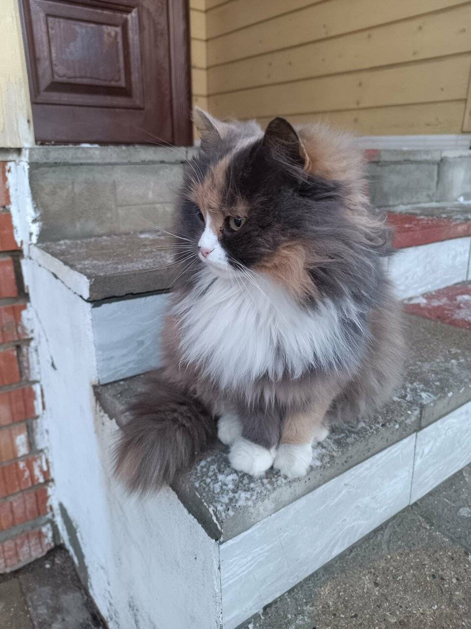 Фото Отели Дом на Гражданской Углич 134