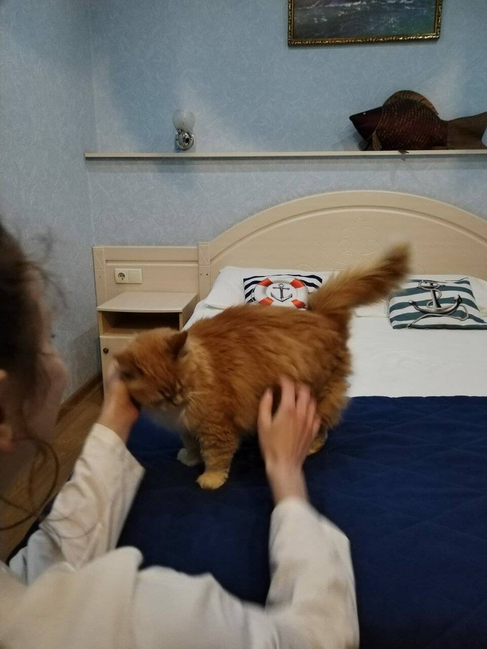 Фото Отели Дом на Гражданской Углич 167