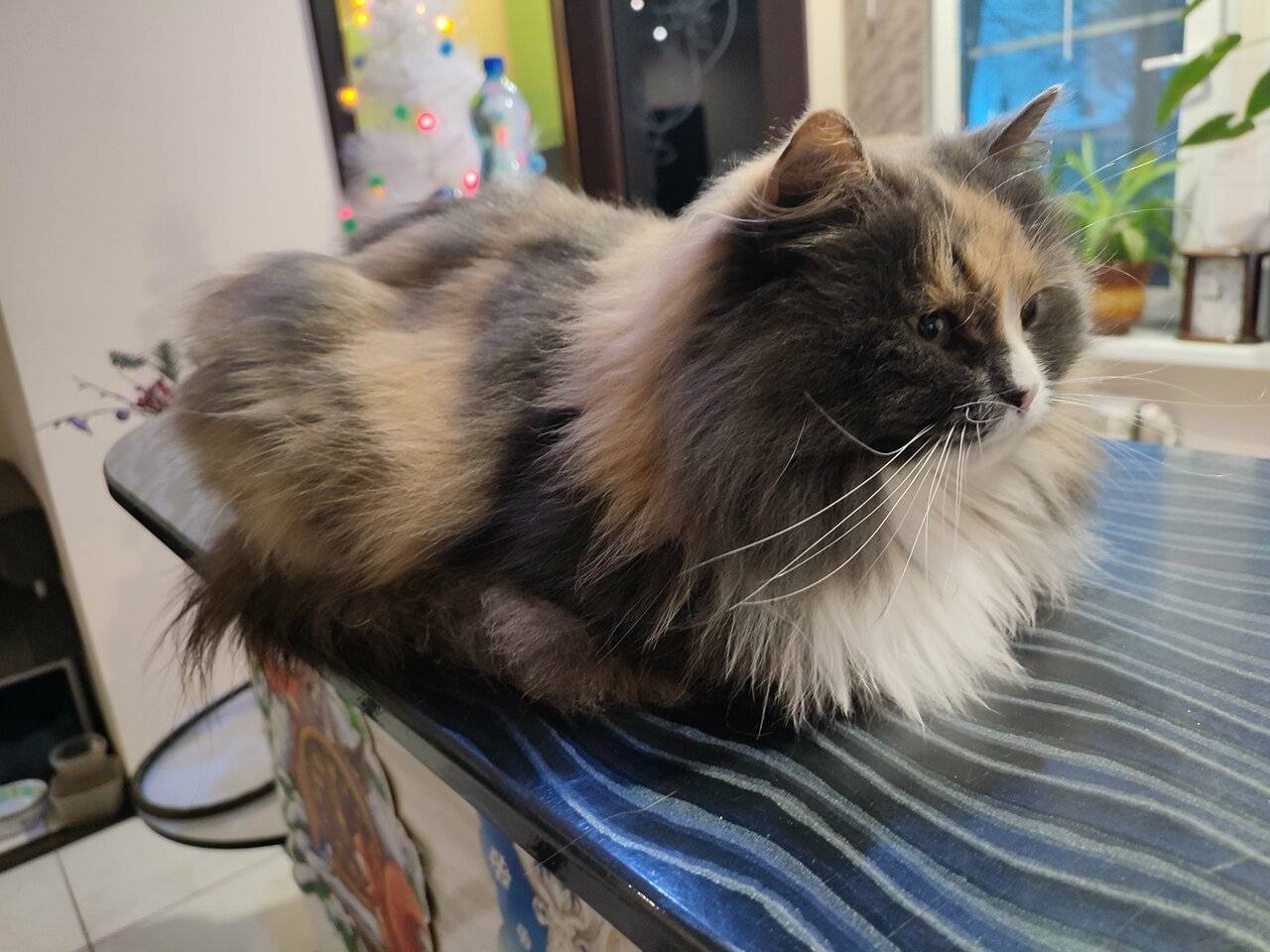 Фото Отели Дом на Гражданской Углич 173