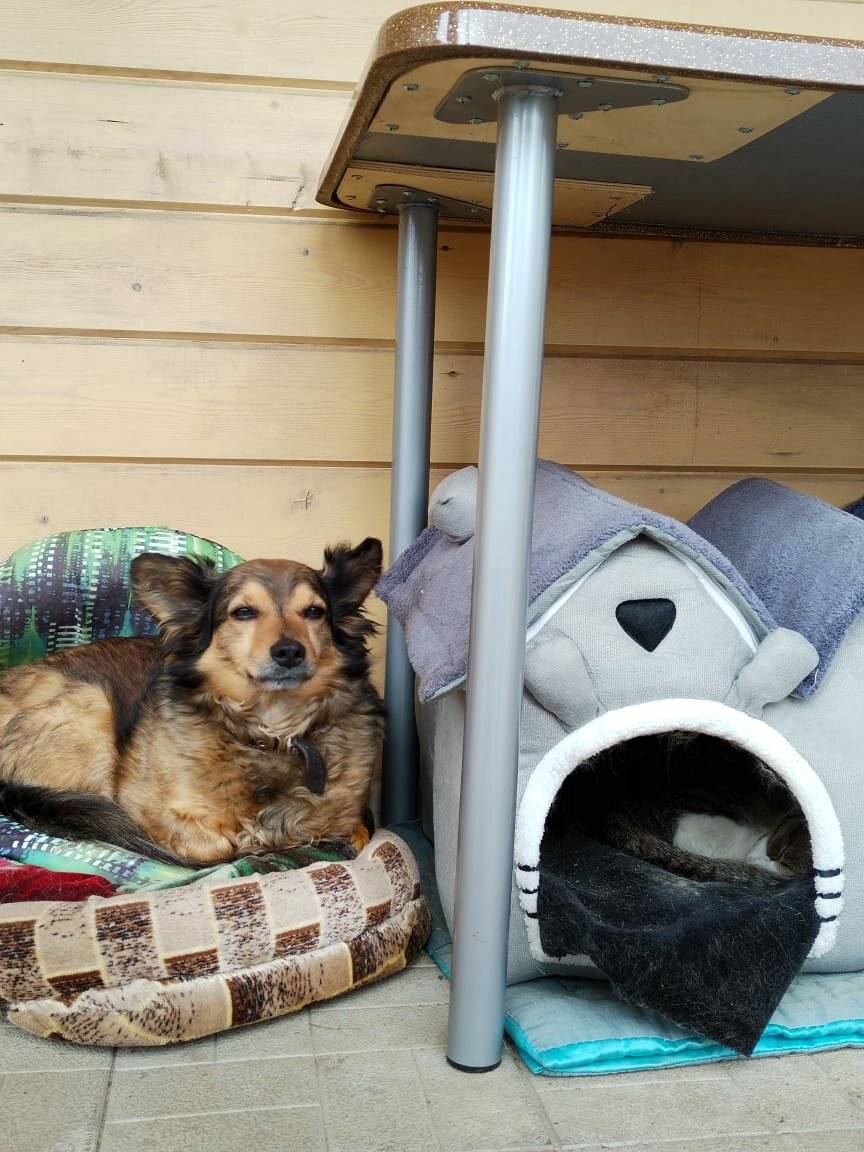 Фото Отели Дом на Гражданской Углич 160