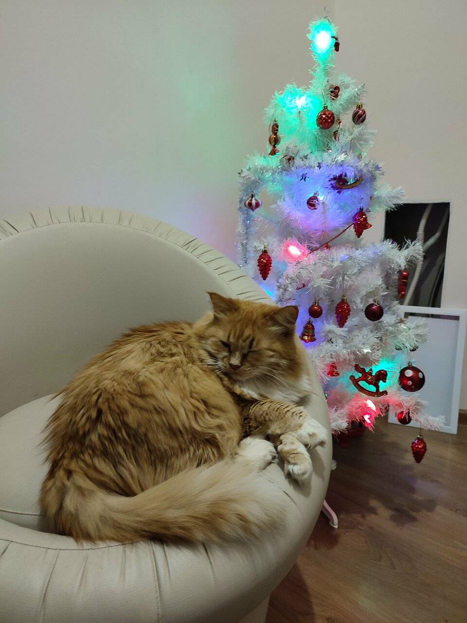 Фото Отели Дом на Гражданской Углич 171