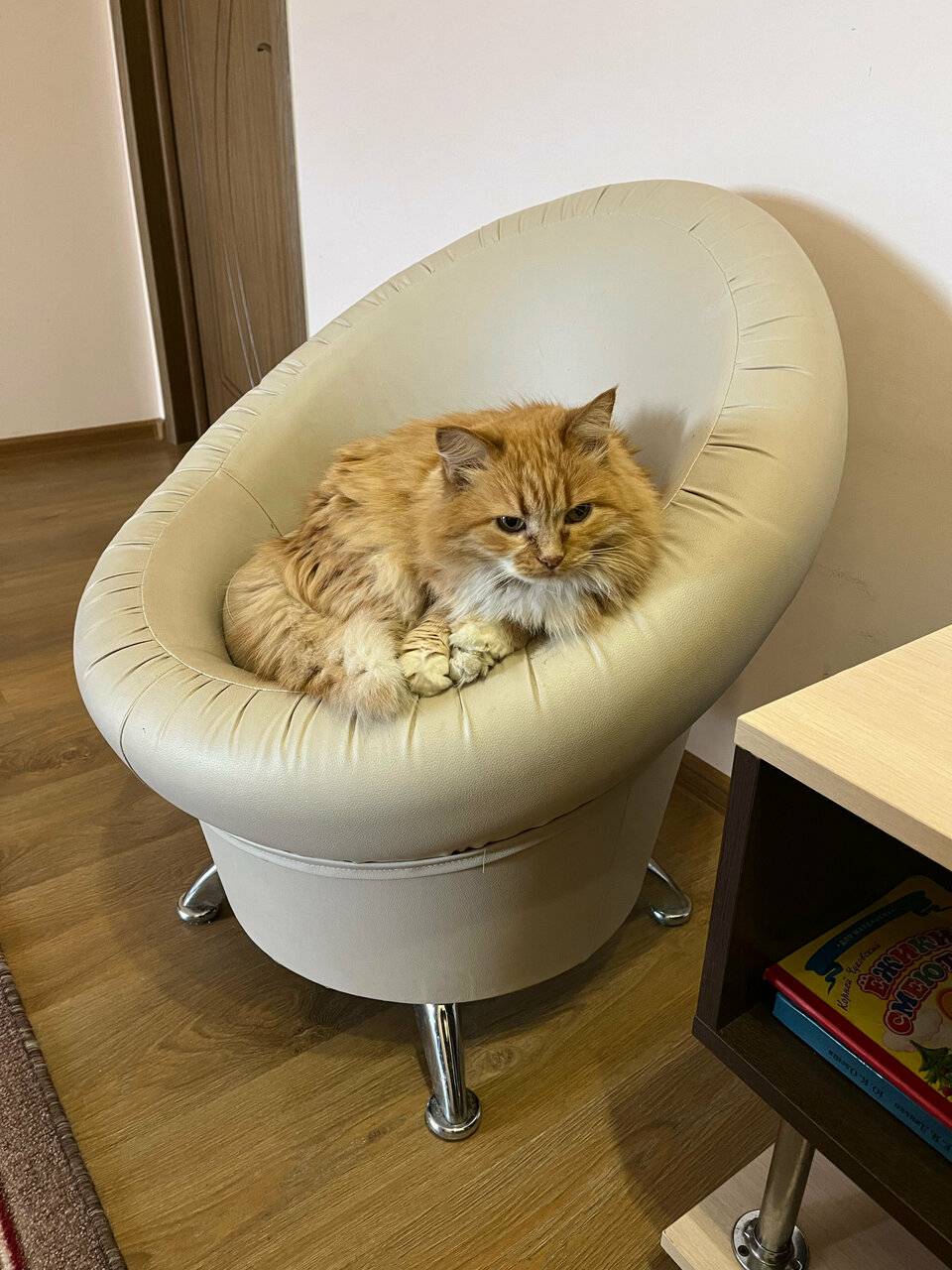 Фото Отели Дом на Гражданской Углич 113