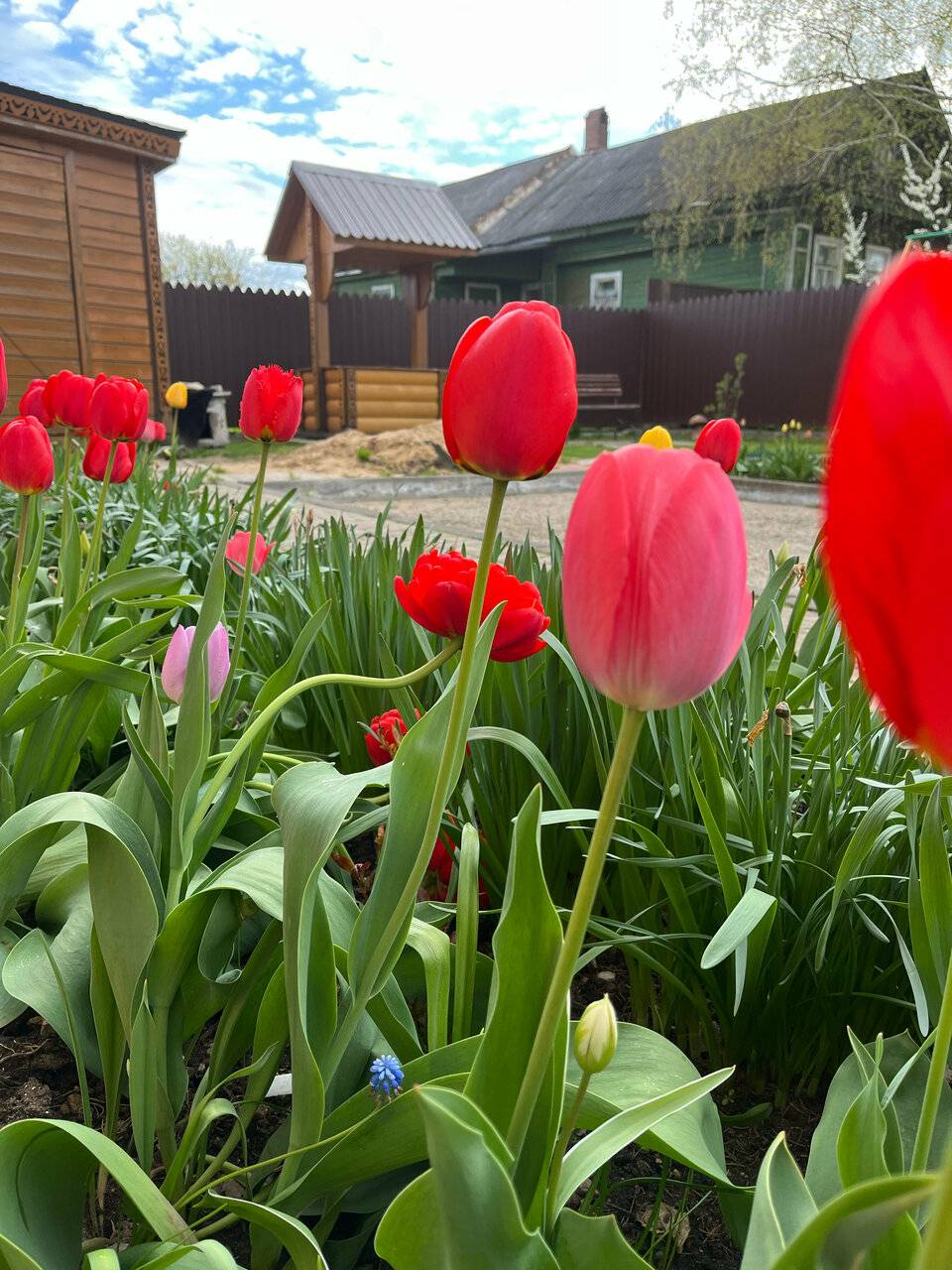 Фото Отели Дом на Гражданской Углич 104