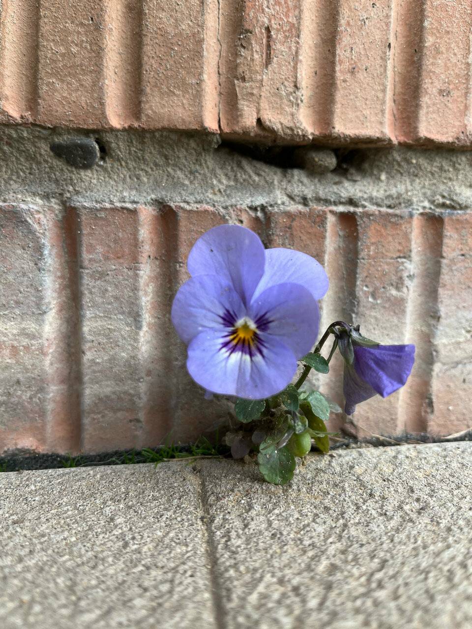 Фото Отели Дом на Гражданской Углич 118