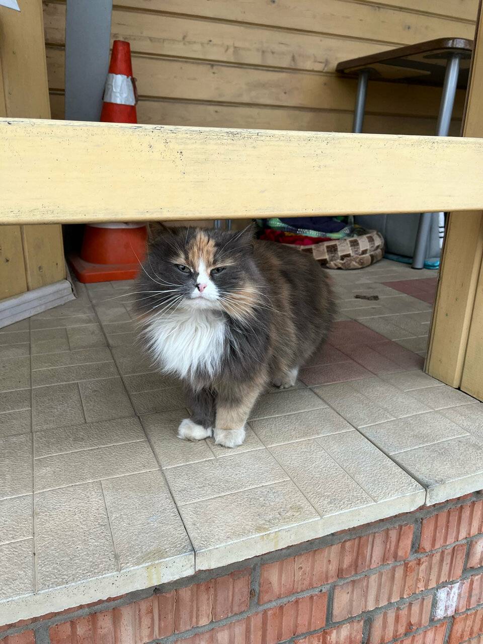 Фото Отели Дом на Гражданской Углич 189