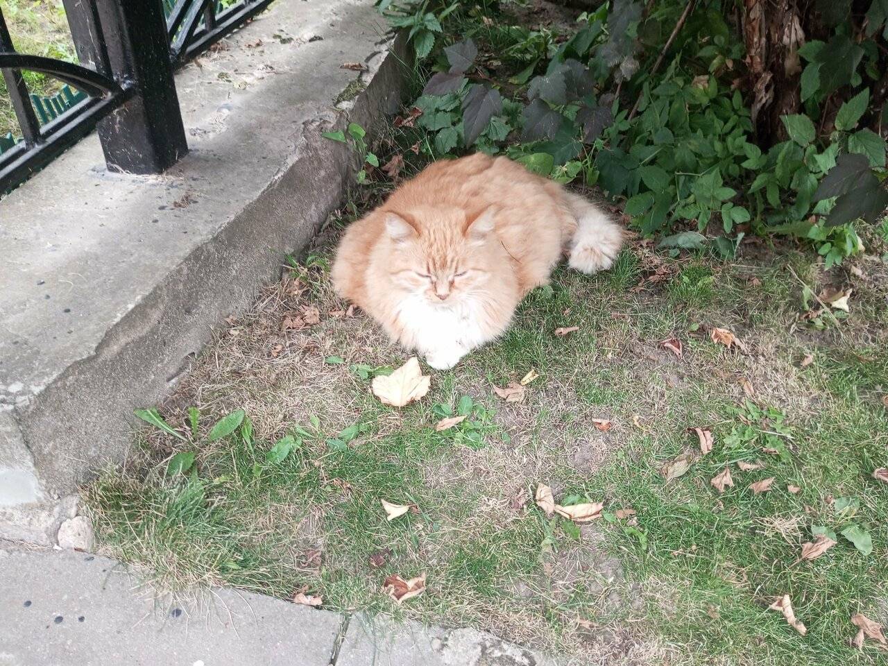 Фото Отели Дом на Гражданской Углич 155