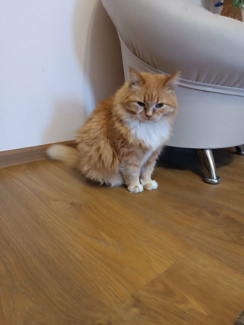 Фото Отели Дом на Гражданской Углич 190