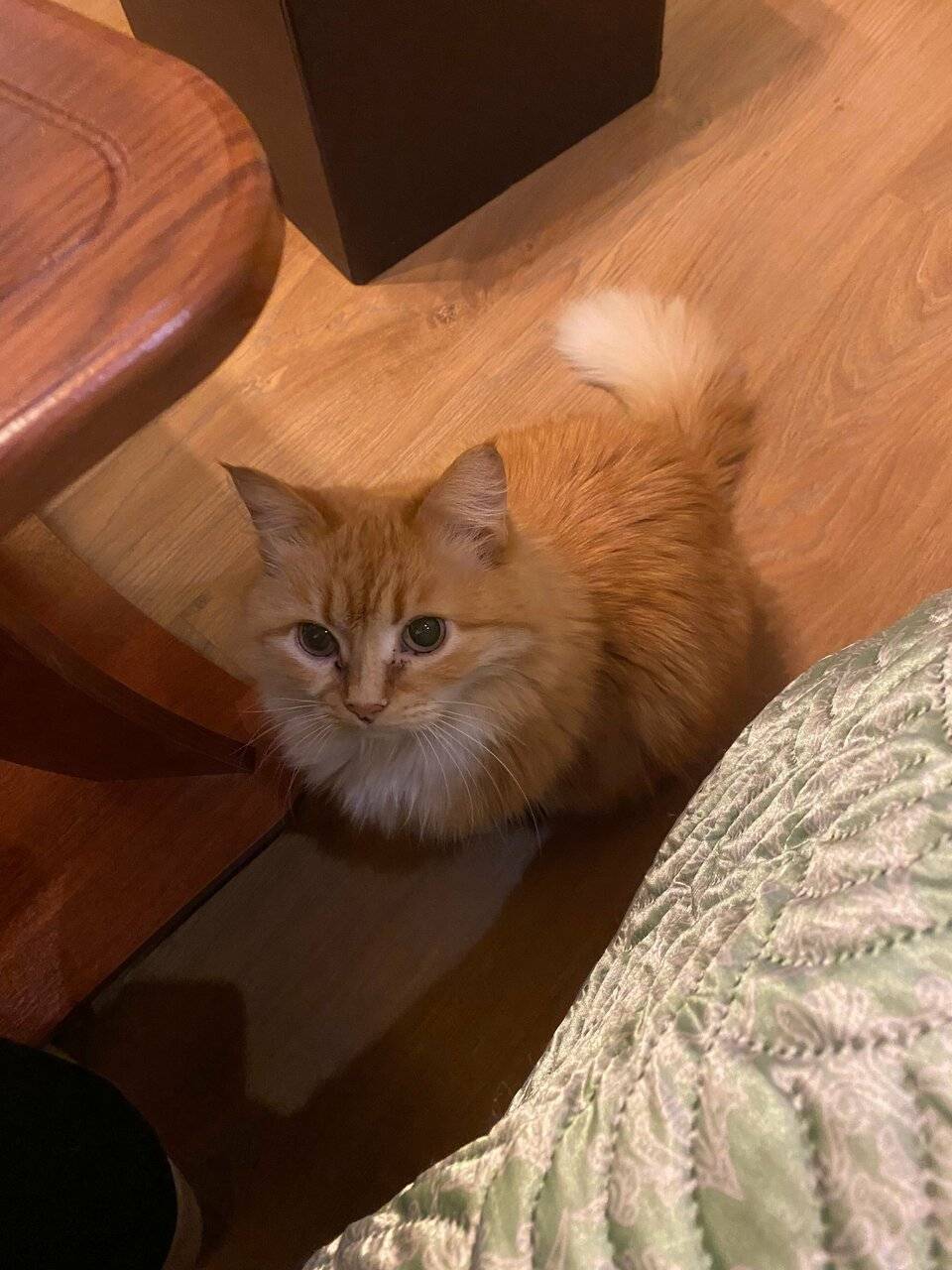 Фото Отели Дом на Гражданской Углич 165