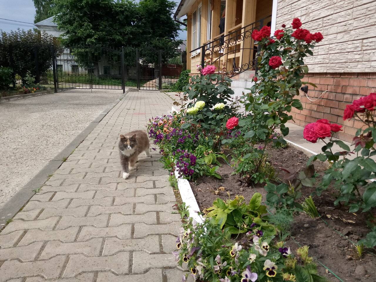 Фото Отели Дом на Гражданской Углич 107
