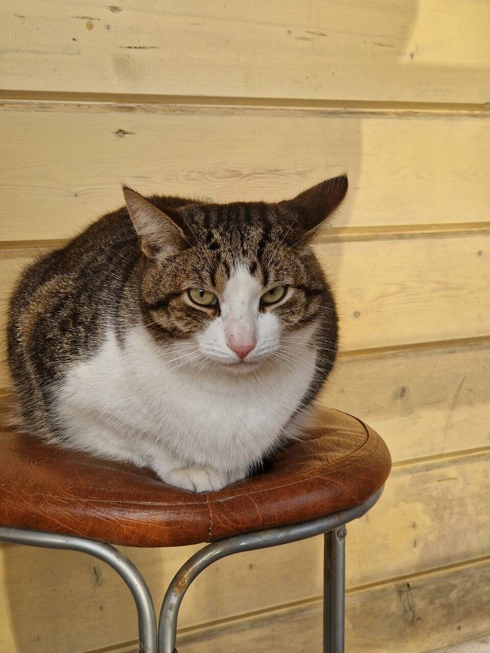 Фото Отели Дом на Гражданской Углич 143