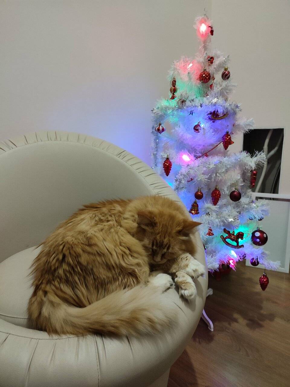 Фото Отели Дом на Гражданской Углич 192