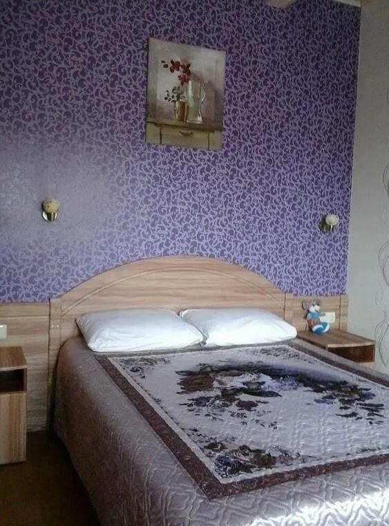 Фотографии номера Комната стандарт с 1 двуспальной кроватью в Отеле Дом на Гражданской Углич