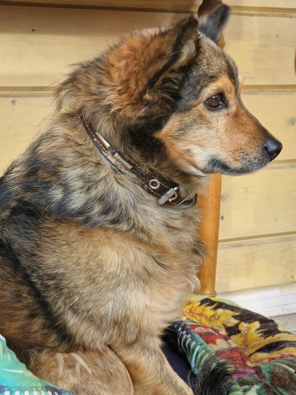 Фото Отели Дом на Гражданской Углич 116