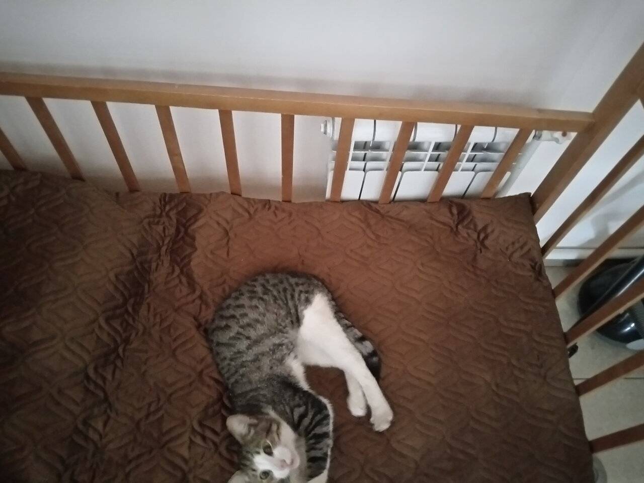 Фото Отели Дом на Гражданской Углич 149